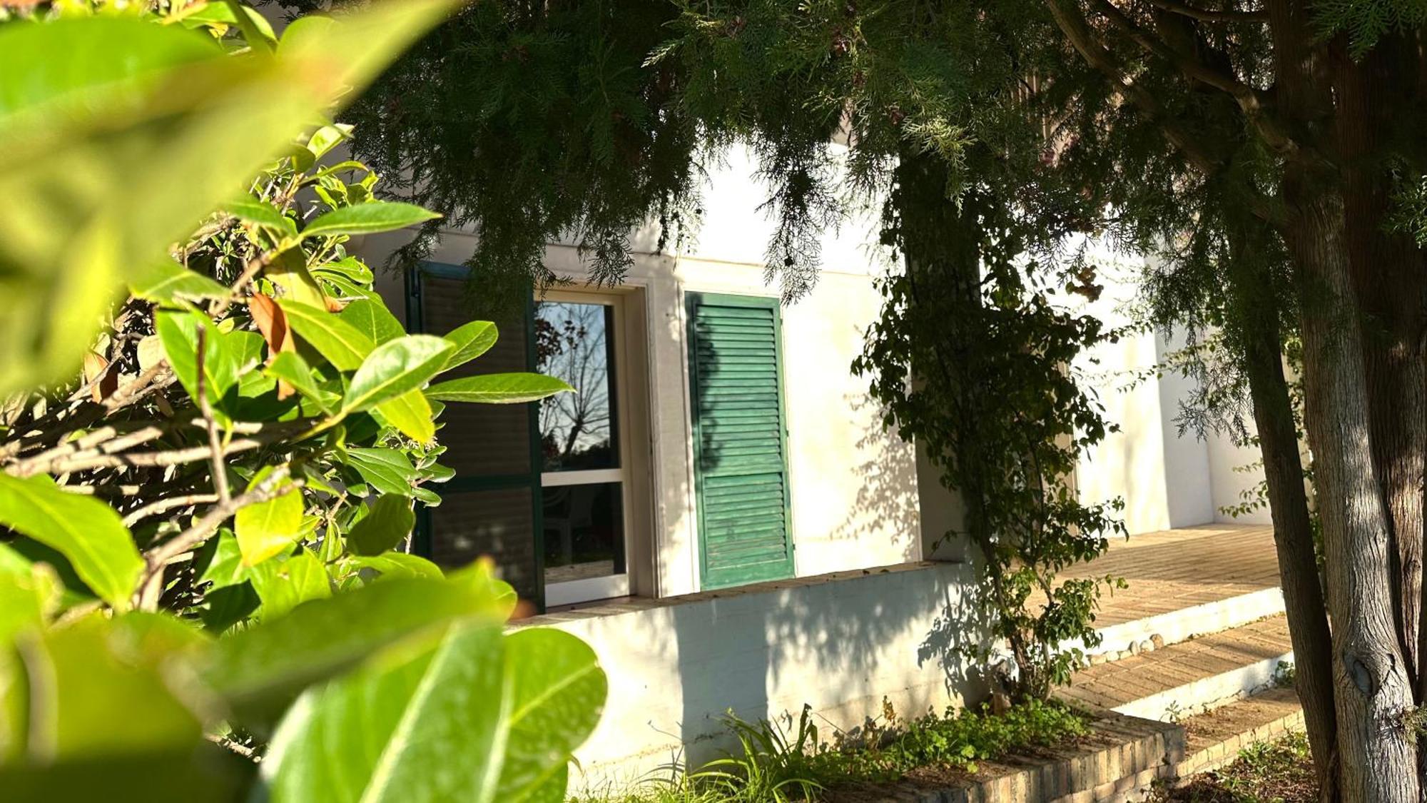 N207 - Numana, Deliziosa Villetta Con Giardino エクステリア 写真