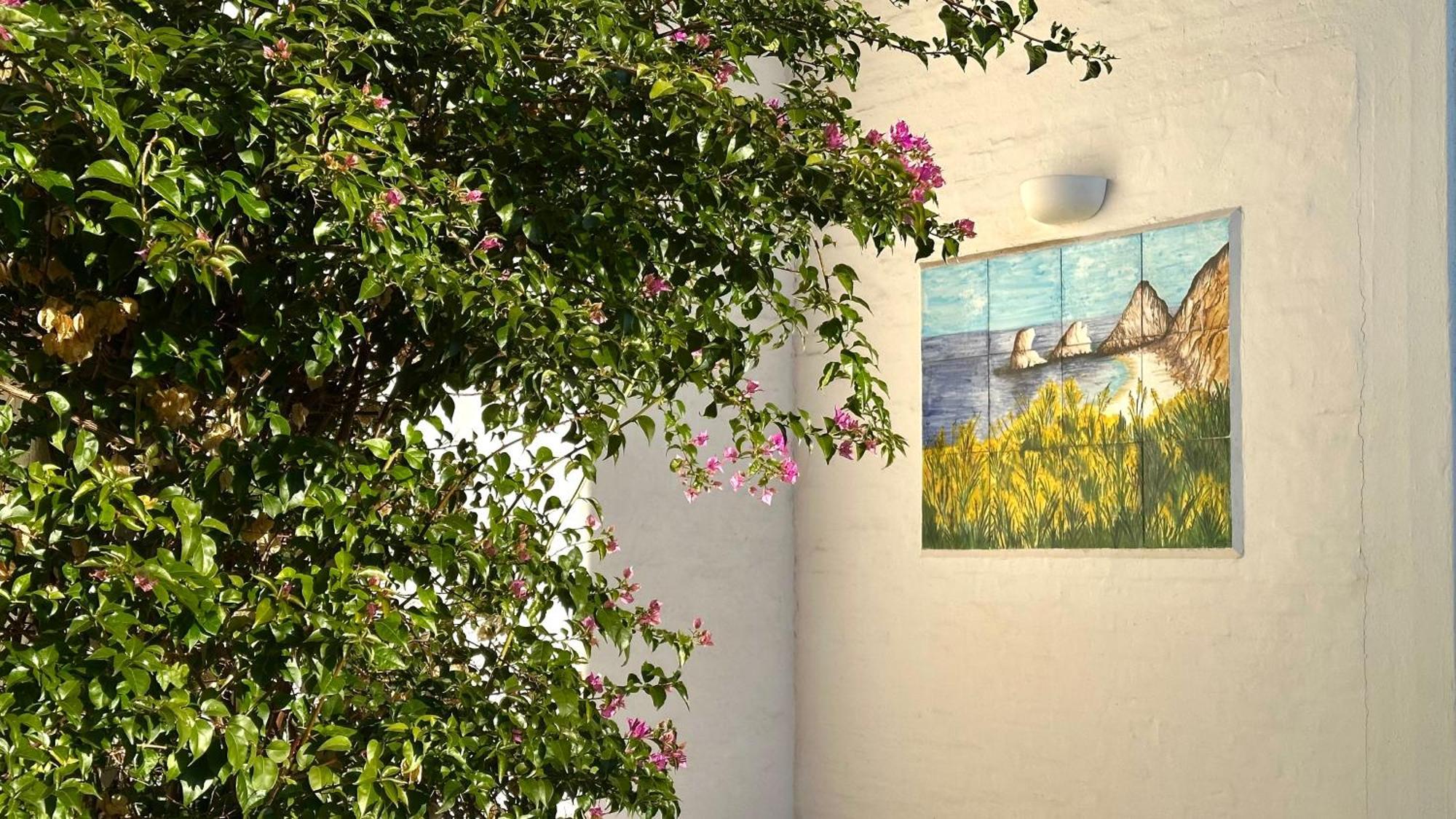 N207 - Numana, Deliziosa Villetta Con Giardino エクステリア 写真